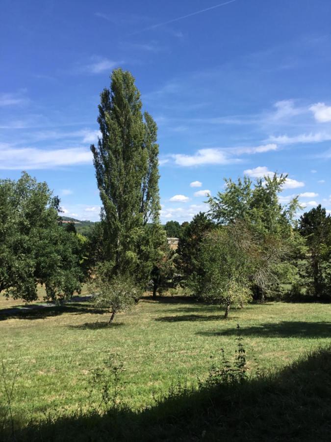 Logis Des 4 Fees Et Son Bain Nordique Villa Sainte-Nathalene Exterior photo